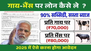 Bhains Par Loan Kaise Le