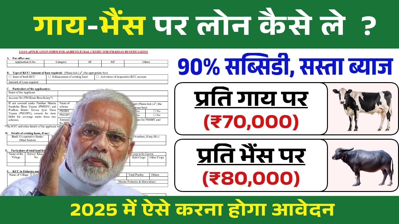 Bhains Par Loan Kaise Le