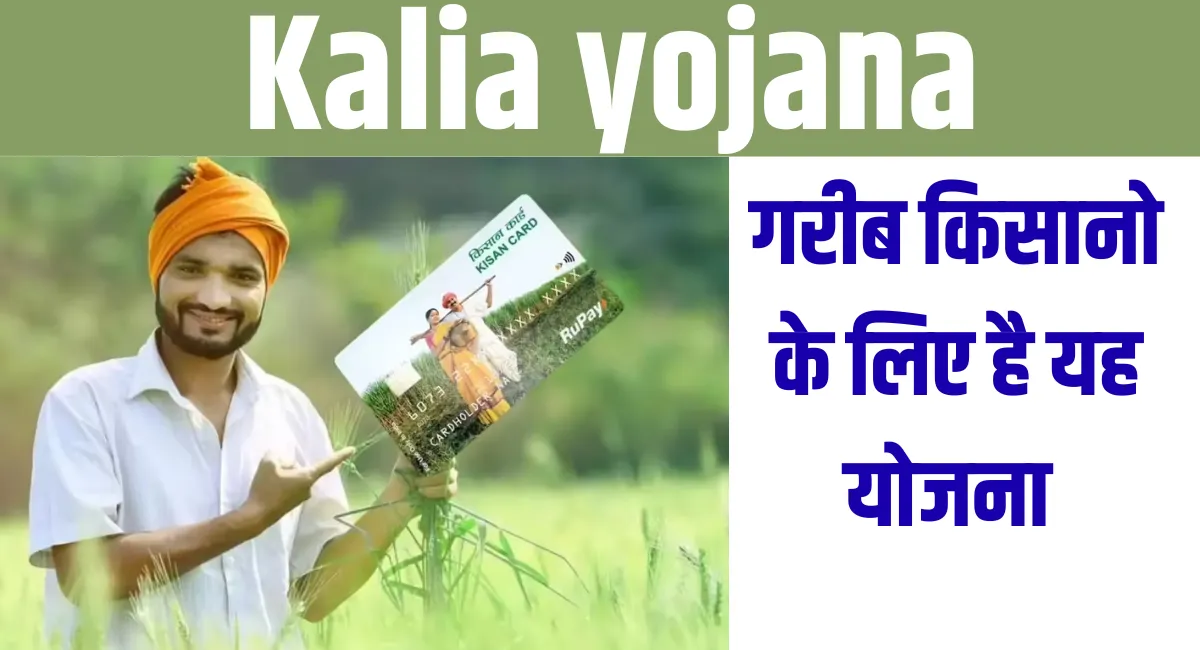 Kalia yojana